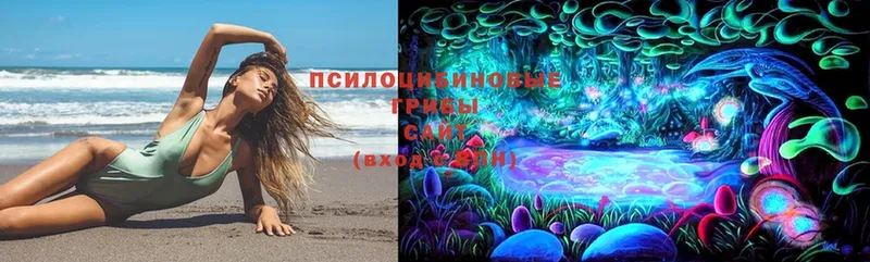 Галлюциногенные грибы Magic Shrooms  Сергач 